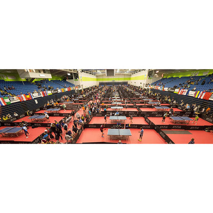 Stag Table Tennis Surround Arena