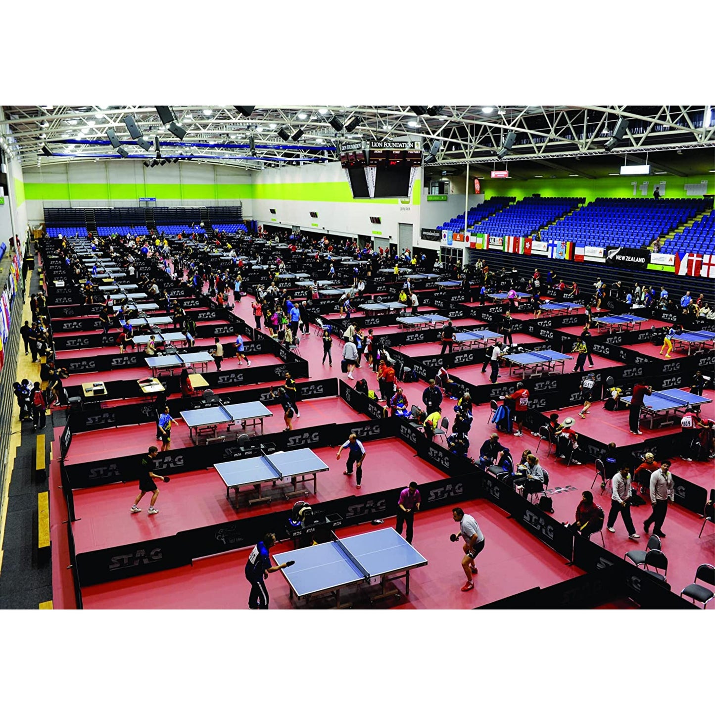 Stag Table Tennis Surround Arena